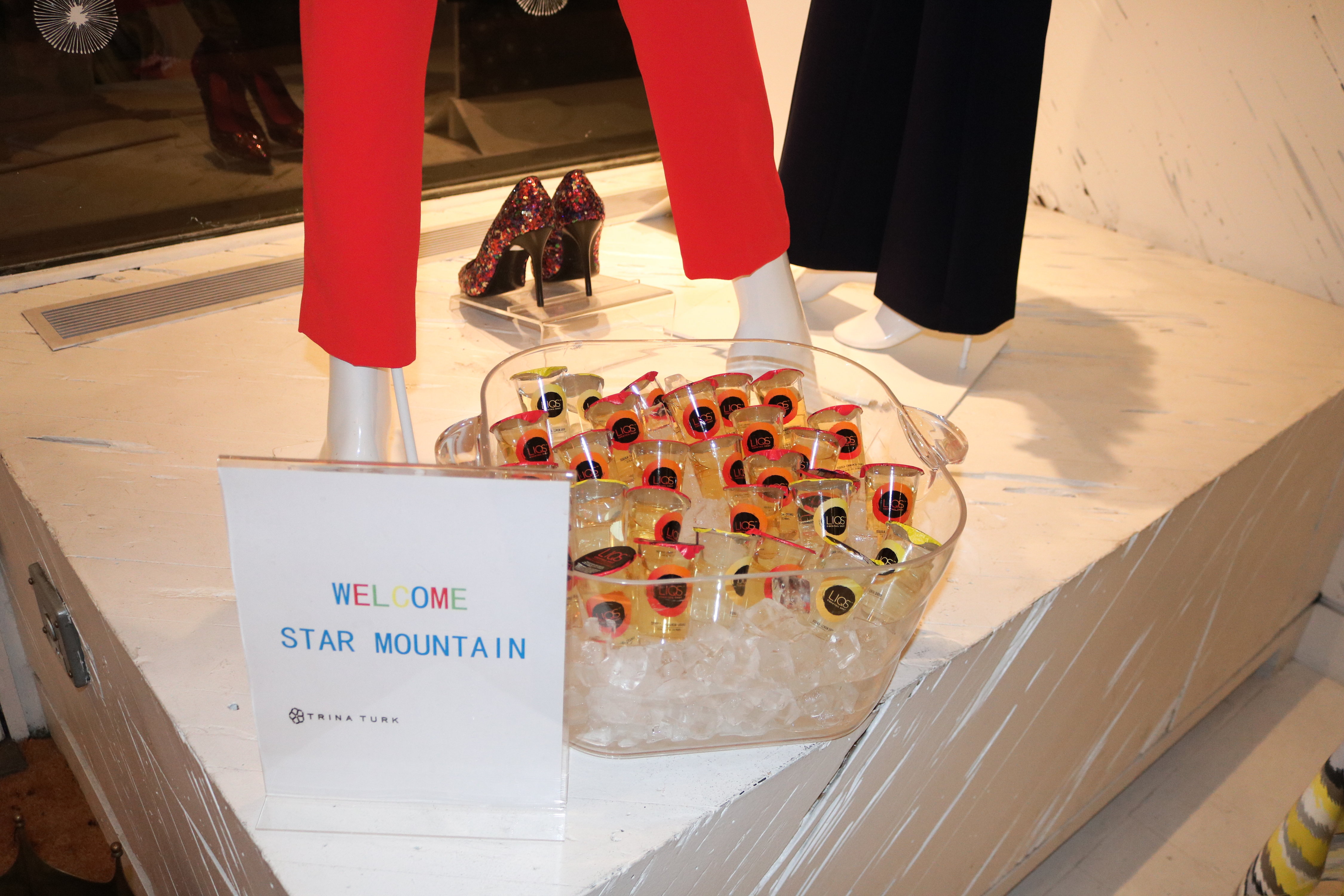 Star Mountain Charitable Foundation & Trina Turk Holiday Shopping Event (12/7/16)